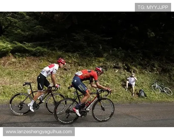 2016环法自行车赛第(2019环法自行车赛)sports